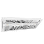 ZLINE 58 in. Range Hood Insert Wall Mount 21 in. Depth Stainless Steel 4-Speed Ventilation (721-58)