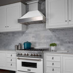 ZLINE 30 in. Wall Mount Range Hood Ducted Satin Stainless Steel White Matte Shell (8654WM-30)