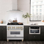 ZLINE Autograph 36 in. 4.6 cu. ft. Legacy Dual Fuel Range with 6 Gas Burners and Electric Convection Oven in Satin Stainless Steel with Polished Gold Accents (RASZ-SN-36-G)