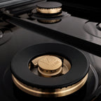 ZLINE Autograph 24 in. Dual Fuel Range 2.8 cu. ft. Stainless Steel with Gold Accents (RAZ-24-G)