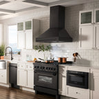 ZLINE 30 in. Range Hood Black Stainless Steel with Black Stainless Steel Handle (BS655-30-BS)