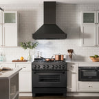 ZLINE 36 in Wall Mount Range Hood 700 CFM Black Stainless Steel (BS655N-36)