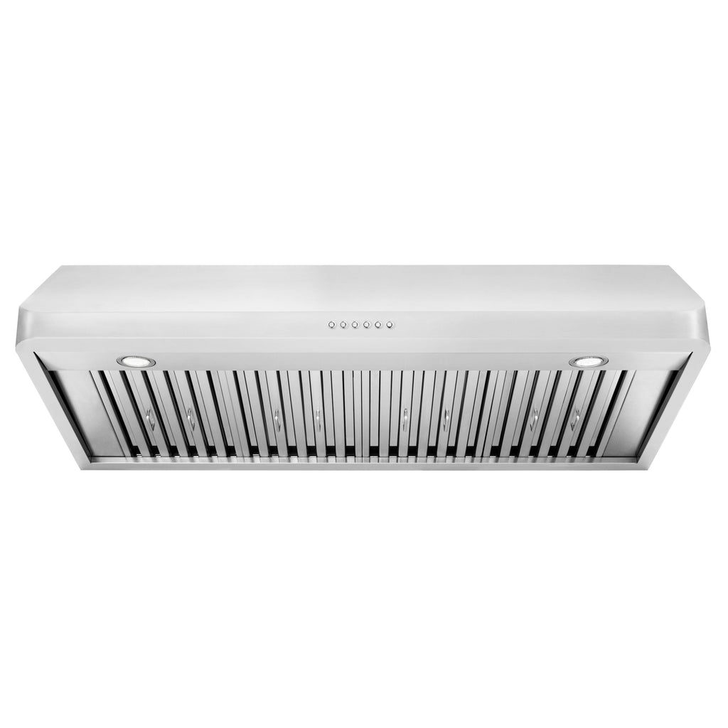 ZLINE 48 Inch Under Cabinet Range Hood 400 CFM Ducted Stainless Steel Alpine Series (ALP10UC-48)