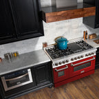 ZLINE 48" Professional Dual Fuel Range with 7 Burners, 6.0 cu. ft. Electric Oven, Stainless Steel with Red Gloss Door – RA-RG-48