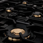 ZLINE Appliance Package - 48 In. Dual Fuel Range with Brass Burners, Microwave Oven, Range Hood in Black Stainless Steel, 3KP-RABRHMWO-48