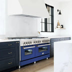 ZLINE 60 in. Dual Fuel Professional Range, 9 Burner Gas Cooktop, Double Electric Convection Ovens, Stainless Steel with Blue Matte Door (RA-BM-60)