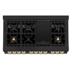 ZLINE Autograph Package - 48 In. Dual Fuel Range, Range Hood, Dishwasher in Black Stainless Steel with Gold Accent, 3AKP-RABRHDWV48-G