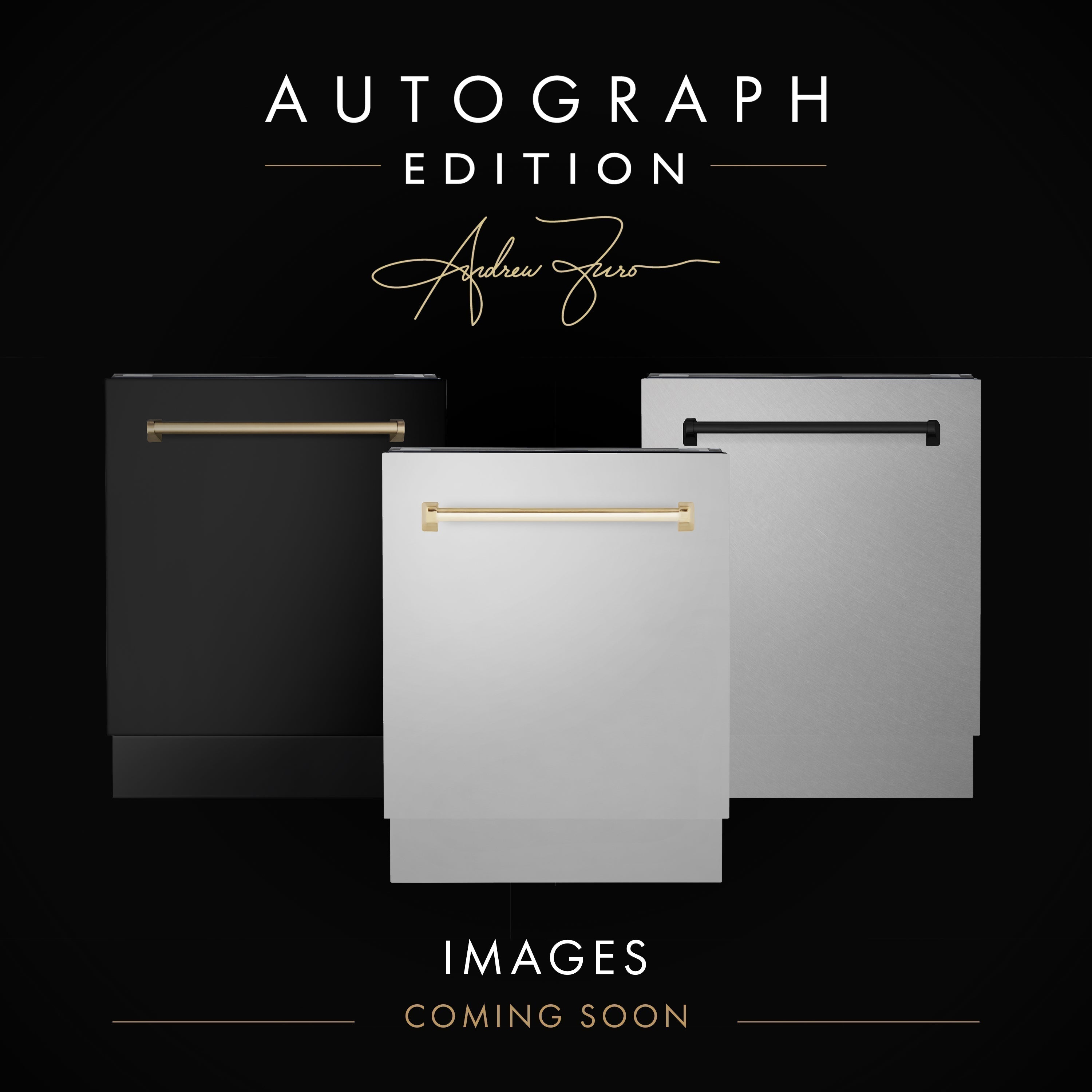 ZLINE Autograph 24" Tallac Series 3rd Rack Top Control Built-In Tall Tub Dishwasher with Satin Stainless Steel Panel and Matte Black Handle, 51dBa, DWVZ-SN-24-MB
