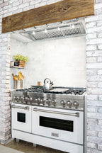 ZLINE 46 in. Range Hood Insert 18 in. Depth Stainless Steel 700 CFM 4-Speed Motor LED Lighting (698-46)