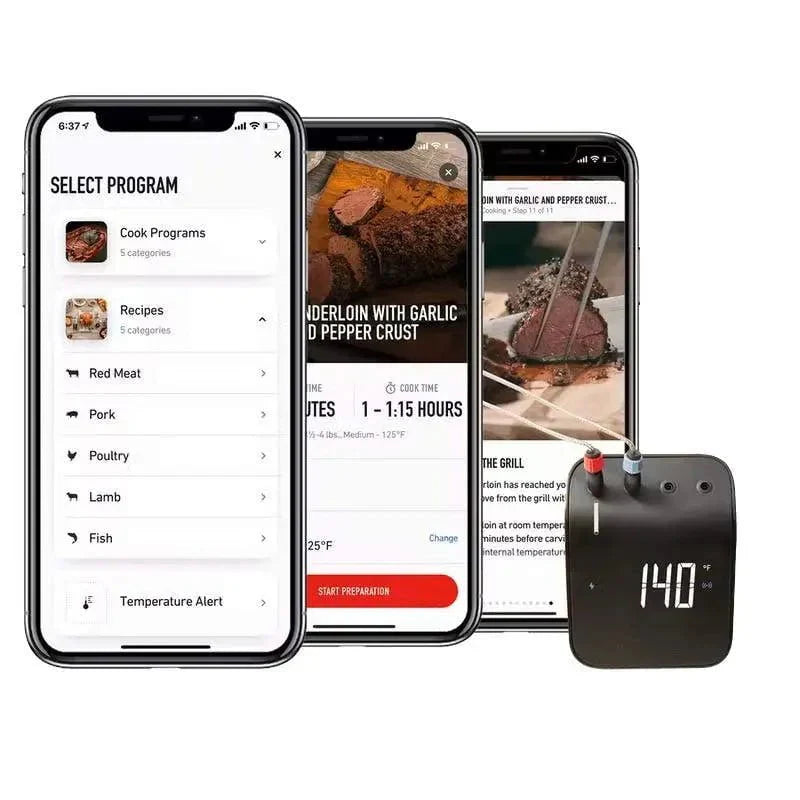 Weber Connect Smart Grilling Hub