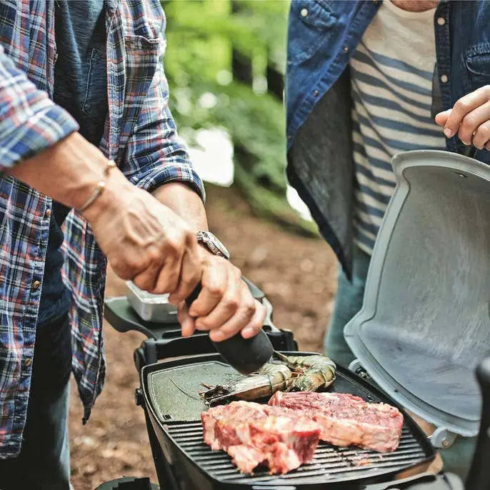 Weber Q 1200 Portable Gas BBQ Grill
