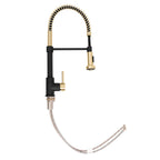 ZLINE Autograph Apollo Pull Down Spring Single Handle Kitchen Faucet in Matte Black and Champagne Bronze, APL-KF-ZMBCB