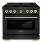 ZLINE Autograph Edition 36 in. Paramount Dual Fuel Range, 5.2 cu. ft. Oven, 6 Burner Gas Cooktop, Black Stainless Steel with Polished Gold Accents (SDRBZ-36-G)