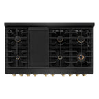 ZLINE Autograph Package - 48 In. Gas Range and Range Hood in Black Stainless Steel with Champagne Bronze Accents, 2AKPR-RGBRH48-CB