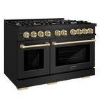 ZLINE 48 in. Gas Range Double Oven 6.7 cu. ft. 8 Burner Cooktop Black Stainless Steel with Champagne Bronze Accents (HGRBZ-48-CB)