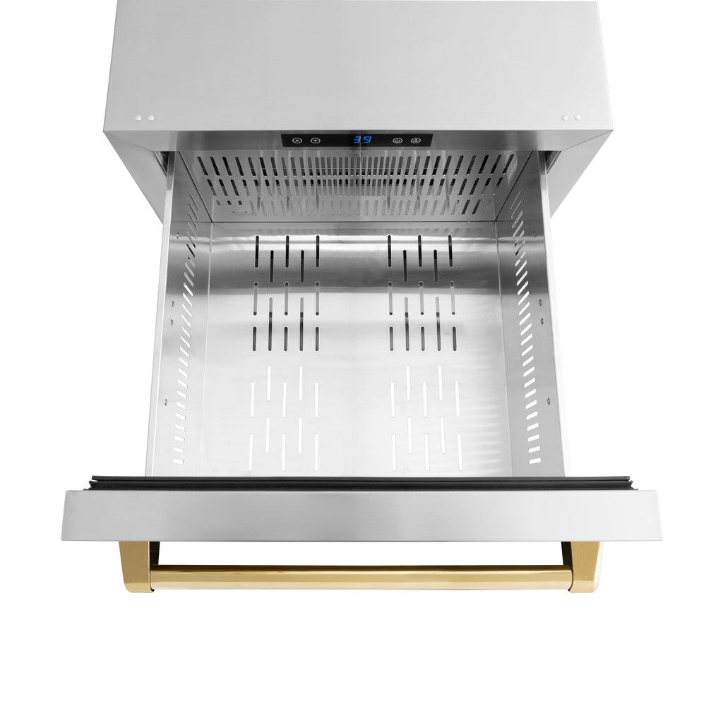 ZLINE 24-Inch Refrigerator Drawer Outdoor-Rated 168-Can Capacity Stainless Steel Polished Gold Handles (RDSOZ-ST-24-G)