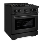 ZLINE Select 30 in. Dual Fuel Range 4.2 cu. ft. with 4 Brass Burners, Convection Oven, Black Stainless Steel (HDRB-BR-30)