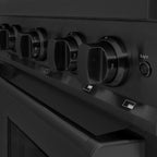 ZLINE 30 in. Gas Range 4.2 cu. ft. Capacity with 4 Brass Burners Black Stainless Steel (CGRB-BR-30)