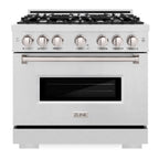 ZLINE 36 in. Dual Fuel Range 5.2 cu. ft. 6 Burner Gas Cooktop Electric Convection Oven Satin Stainless Steel (CDRS-36)