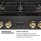 ZLINE Designer 36" Paramount Gas Rangetop with 6 Burners in Black Satin with Matte Black and Champagne Accents, SRTBSZ-36-MBCB