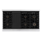 ZLINE 48" Paramount Gas Rangetop with 8 Brass Burners and Porcelain Cooktop in Satin Stainless Steel, SRTS-BR-48