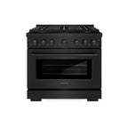 ZLINE 36 in. Dual Fuel Range 5.2 cu. ft. 6 Burner DuoPro™ Cooktop Electric Convection Oven Black Stainless Steel (PSDRB-36)
