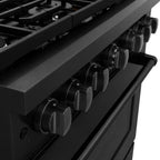 ZLINE Paramount 36 in. Dual Fuel Range with 6 Gas Burners and Electric Convection Oven, 5.2 cu. ft., Black Stainless Steel (SDRB-36)