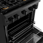 ZLINE Paramount 30 in. Dual Fuel Range with 4 Brass Burners and 4.2 cu. ft. Electric Convection Oven in Black Stainless Steel (SDRB-BR-30)