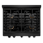 ZLINE Paramount 30 in. Dual Fuel Range with 4 Brass Burners and 4.2 cu. ft. Electric Convection Oven in Black Stainless Steel (SDRB-BR-30)