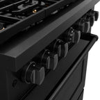 ZLINE 36 in. Paramount Dual Fuel Range, 5.2 cu. ft., 6 Brass Burners, Black Stainless Steel (SDRB-BR-36)