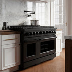 ZLINE Appliance Package - 48" Dual Fuel Range, Range Hood, 36" Refrigerator with Water/Ice Dispenser, 24" Microwave Drawer and Dishwasher in Black Stainless Steel