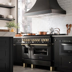 ZLINE Autograph 48-Inch Dual Fuel Range, 6.0 Cu. Ft., Black Stainless Steel with Gold Accents (RABZ-48-G)