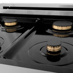 ZLINE 24 in. Dual Fuel Range with Gas Burners and Electric Oven in Stainless Steel with Brass Burners (RA-BR-24)