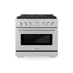 ZLINE 36 in. Dual Fuel Range 5.2 cu. ft. 6 Burner DuoPro™ Cooktop Electric Convection Oven Satin Stainless Steel (PSDRS-36)
