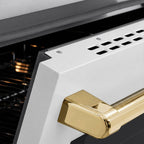 ZLINE 24 in Induction Range 3.2 cu. ft. Electric Convection Oven Satin Stainless Steel White Matte Door Polished Gold Accents (SINRSZ-WM-24-G)