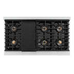 ZLINE 48 in. Dual Fuel Range 6.7 cu. ft. with 8 Burner DuoPro™ Cooktop and Dual Ovens – Stainless Steel (PSDR48)