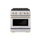 ZLINE 30 in. Dual Fuel Range 4.2 cu. ft. Paramount Series with 4 Burner DuoPro™ Cooktop, Electric Convection Oven, Stainless Steel with Polished Gold Accents (PSDRZ-30-G)