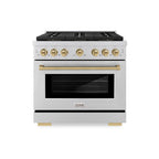 ZLINE 36 in. Dual Fuel Range 5.2 cu. ft. 6 Burner DuoPro™ Cooktop Electric Convection Oven Stainless Steel Champagne Bronze Accents (PSDRZ-36-CB)