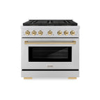ZLINE 36 in. Dual Fuel Range 5.2 cu. ft. with 6 Burner DuoPro™ Cooktop, Electric Convection Oven, Stainless Steel with Polished Gold Accents (PSDRZ-36-G)