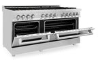 ZLINE 60 in. Professional Gas Range with Brass Burners and 7.6 cu. ft. Electric Oven in Stainless Steel (RA-BR-60)