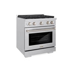 ZLINE Paramount 30 in. Gas Range with Convection Oven and 4 Brass Burners in Stainless Steel (SGR-BR-30)