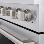 ZLINE Paramount 30 in. Gas Range with Convection Oven and 4 Brass Burners in Stainless Steel (SGR-BR-30)