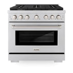 ZLINE Paramount 36 Inch Gas Range with Convection Oven and 6 Brass Burners, Stainless Steel (SGR-BR-36)