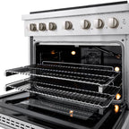 ZLINE Paramount 36 Inch Gas Range with Convection Oven and 6 Brass Burners, Stainless Steel (SGR-BR-36)