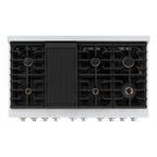 ZLINE Paramount 48 in. Gas Range with Convection Oven, 8 Brass Burners, 6.7 cu. ft. Capacity, Stainless Steel (SGR-BR-48)
