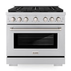 ZLINE Paramount 36 in. Dual Fuel Range, 5.2 cu. ft. Electric Convection Oven, 6 Gas Burners, Stainless Steel (SDR36)