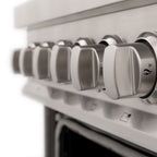 ZLINE 24 in. Dual Fuel Range with Gas Burners and Electric Oven in Stainless Steel with Brass Burners (RA-BR-24)