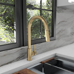 ZLINE Rubicon Pull Down Single Handle Kitchen Faucet in Champagne Bronze, RBCN1-KF-CB