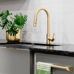 ZLINE Rubicon Pull Down Single Handle Kitchen Faucet in Champagne Bronze, RBCN1-KF-CB