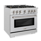 ZLINE 36 in. Dual Fuel Range 5.2 cu. ft. Gas Cooktop with 6 Brass Burners & Electric Convection Oven – Satin Stainless Steel (HDRS-BR-36)